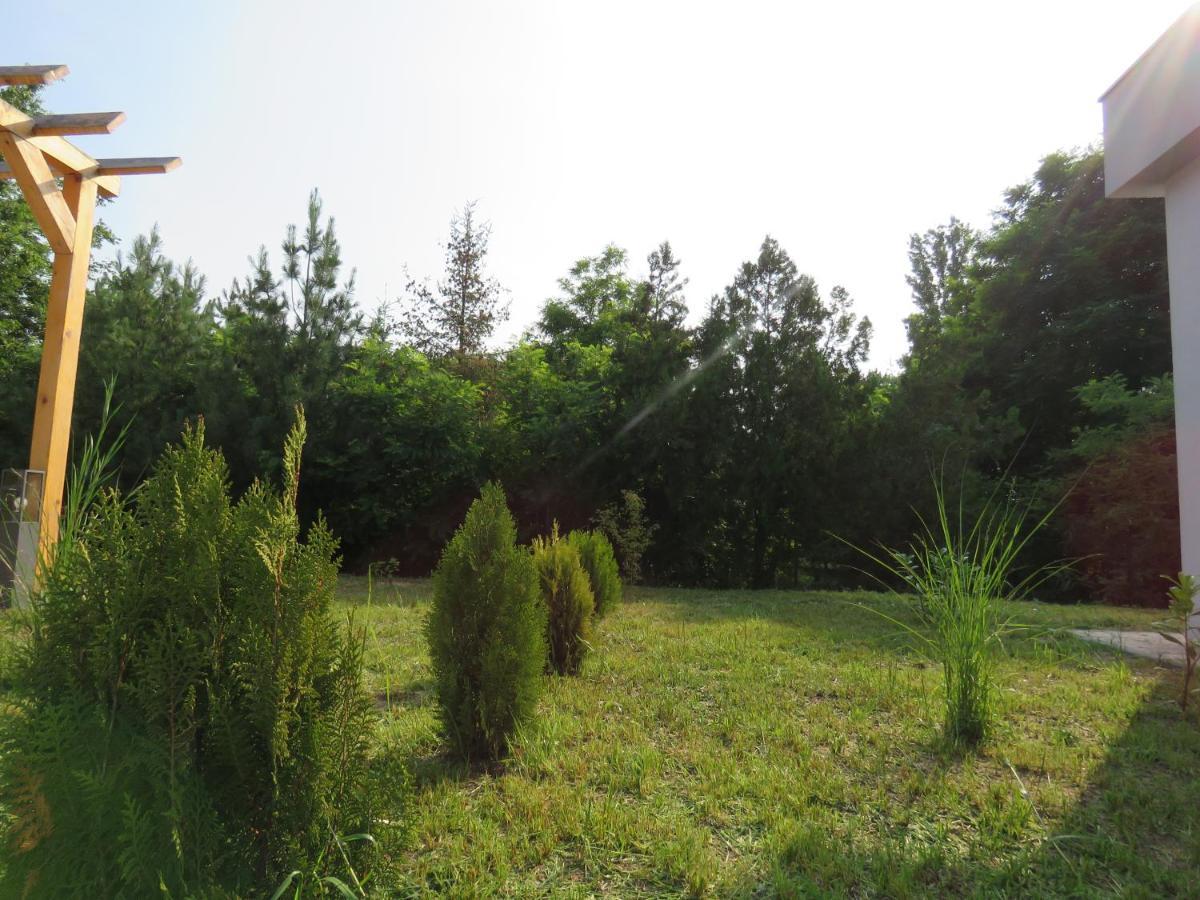 Prenociste Panorama Apartman Szabadka Kültér fotó