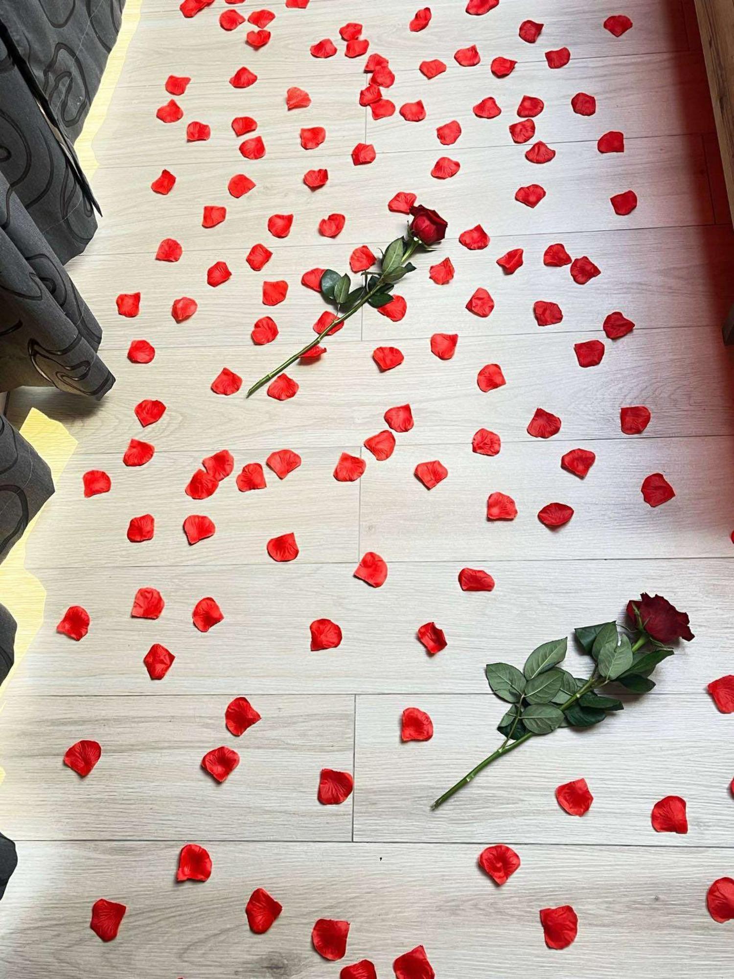 Prenociste Panorama Apartman Szabadka Kültér fotó